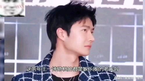 娱乐综艺吃瓜儿小说,吃瓜小说里的娱乐圈秘闻