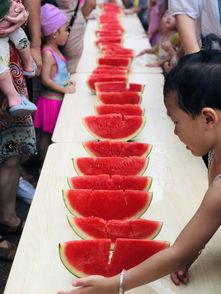 娱乐吃瓜小能手,吃瓜小能手带你领略幕后风云