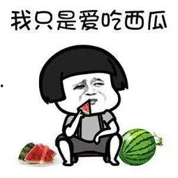 娱乐吃瓜写字,揭秘明星幕后故事