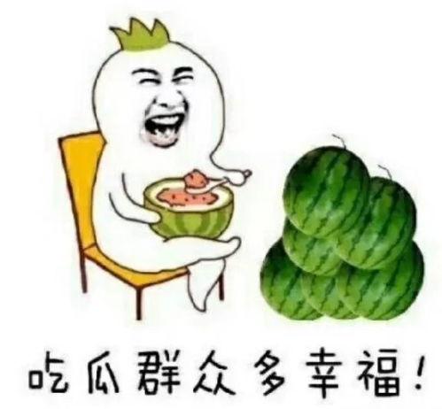 娱乐吃瓜君什么瓜